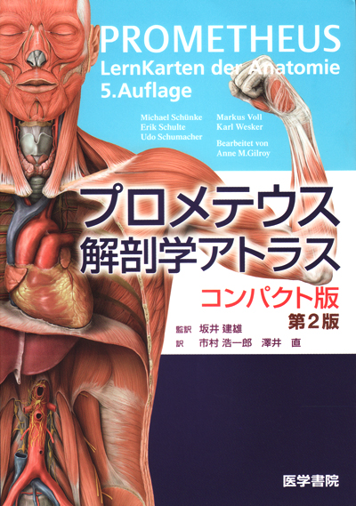 プロメテウス解剖学アトラス 口腔・頭頸部　第二版 プロメテウス解剖学アトラス 口腔・頭頸部 第2版 | 坂井建雄