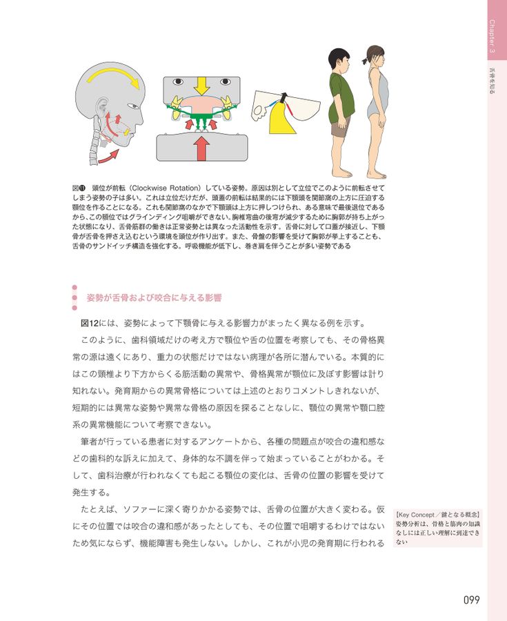 舌骨から紐解く顎機能の謎-丸茂義二のファイナルアンサー