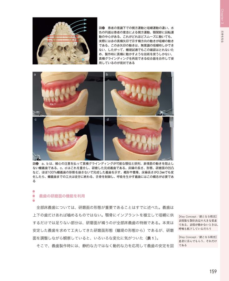 舌骨から紐解く顎機能の謎 丸茂義二のファイナルアンサー