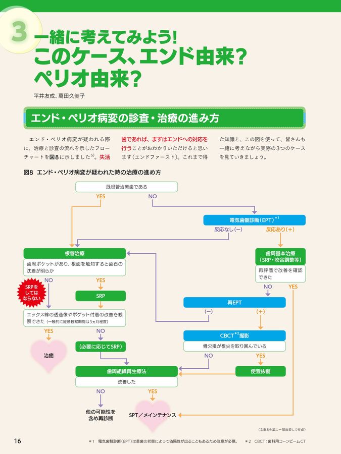 DHとDRのための歯周ポケット鑑別ガイド