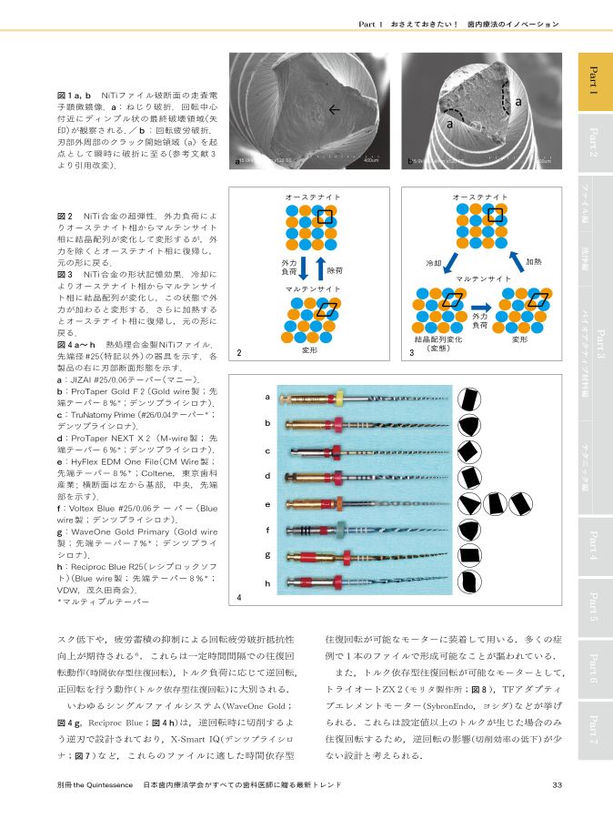 日本歯内療法学会がすべての歯科医師に贈る最新トレンド