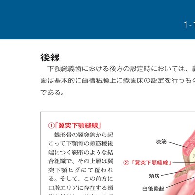 GDS 総義歯の真髄 一部予約販売】 (global GDS 裁断済み dental 総義歯の真髄