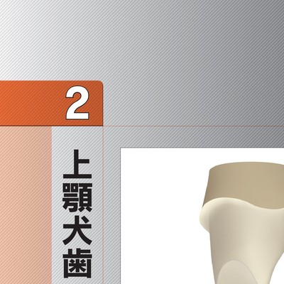 必ず上達 支台歯形成