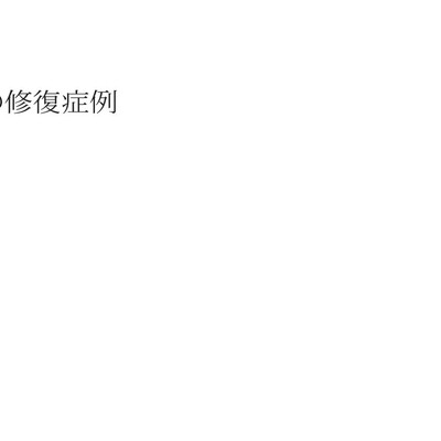 青嶋仁 歯科技工臨床写真集 ザ・セラミックワークス