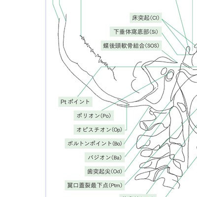 新 矯正歯科治療論