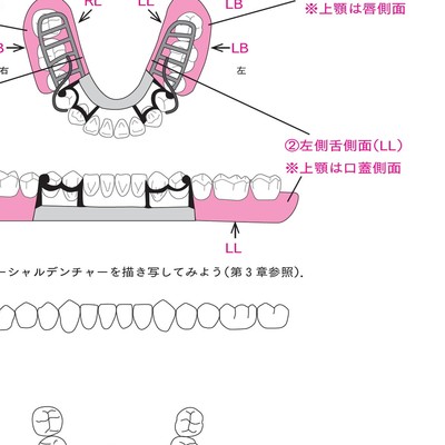 歯科医師　歯科技工士のためのパーシャルデンチャー練習帳 歯科医師・歯科技工士のためのパーシャルデンチャー練習帳