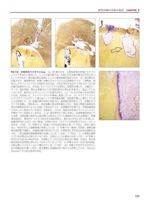 【裁断済】リクッチのエンドドントロジー 91sLJPUIv6L._AC_UL210_SR210,
