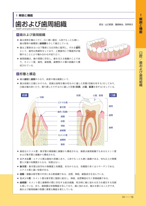 口の中がわかる ビジュアル 歯科口腔科学読本