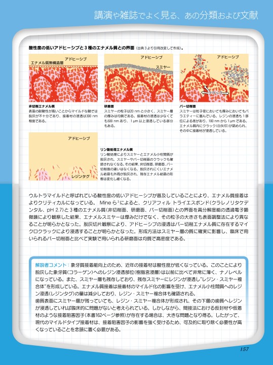 接着歯学のための重要13キーワード ベスト240論文 (トムソン