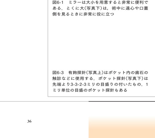 歯周外科 見て学んで始めるガイド