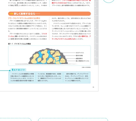 歯科医院で患者さんにしっかり説明出来る本2 このまま使える Dr.もDHも! 歯科医院で患者さんにしっかり説明