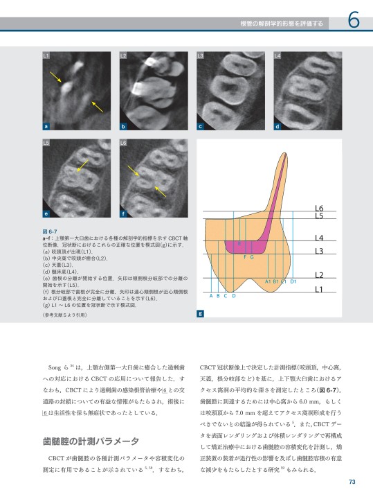 【裁断済み】コーンビームCT活用術 歯科用コーンビームCT徹底活用ガイド - クインテッセンス出版