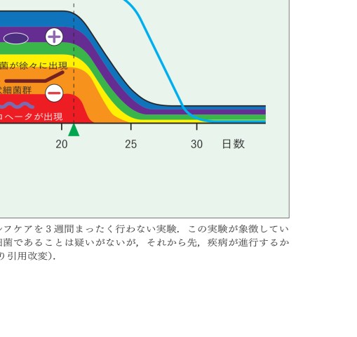 GPとDHのためのペリオドントロジー GPとDHのためのペリオドントロジー | 築山 鉄平, 宮本 高成 |本