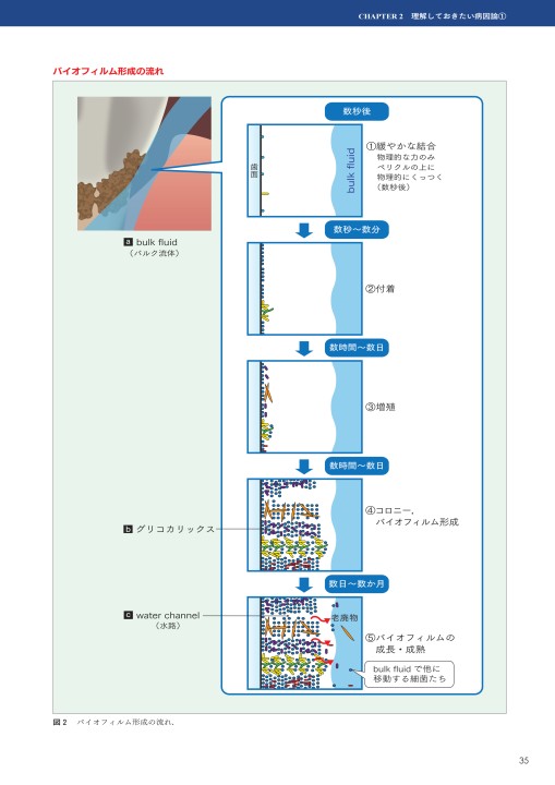 GPとDHのためのペリオドントロジー センター長 築山鉄平 執筆 ”GPとDHのためのペリオドントロジー