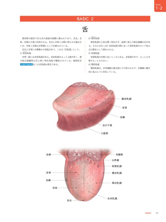 Amazon.co.jp: 口腔咽頭粘膜疾患アトラス : 元, 荒牧: 本