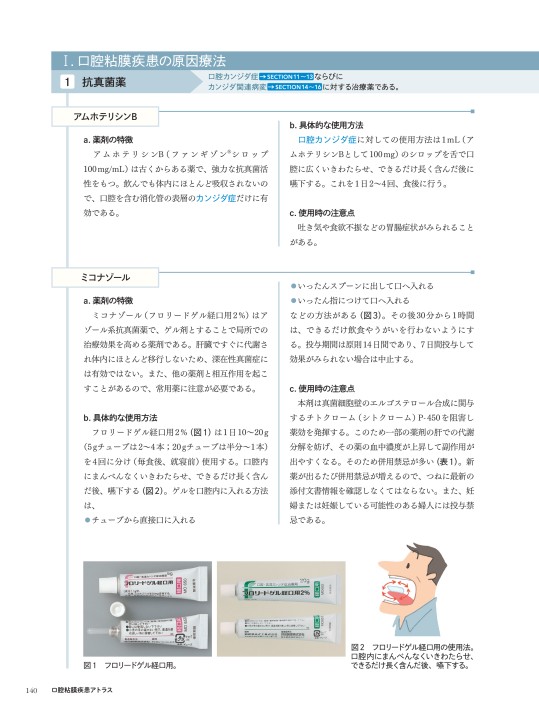 新版 チェアサイド・介護で役立つ 口腔粘膜疾患アトラス