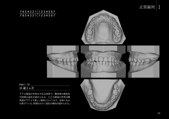 模型を見る 模型を読む