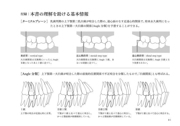 模型を見る 模型を読む
