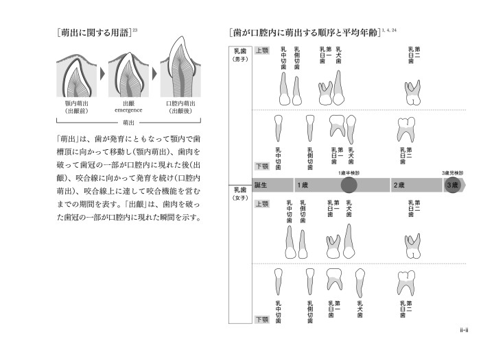 模型を見る 模型を読む