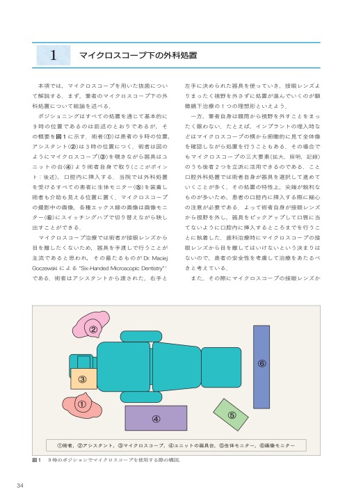 ビジュアルマイクロサージェリー