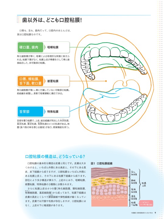 カラーアトラス 皮膚症状110症例でみる内科疾患【電子版付き