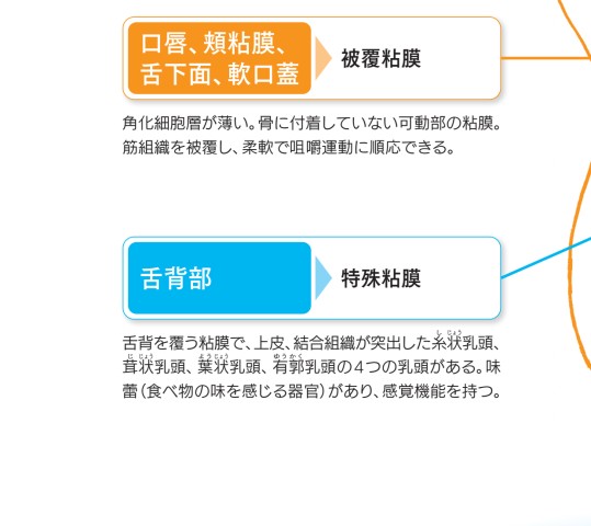 口腔粘膜・皮膚症状から「見抜く」全身疾患 オラドローム、デルマドローム 口腔粘膜・皮膚症状から「見抜く」全身疾患 オラドローム、デ