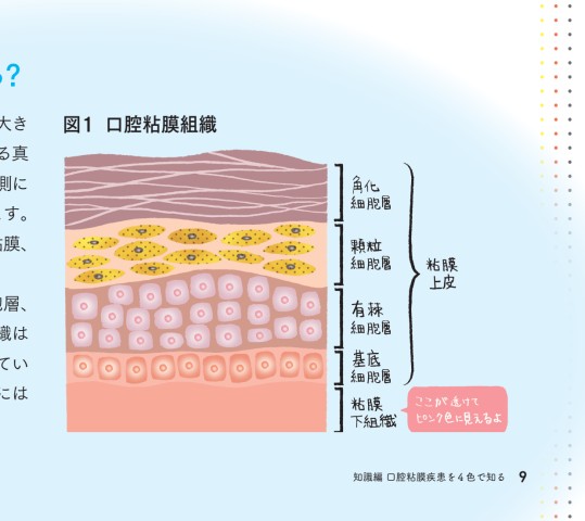口腔粘膜疾患識別ガイド