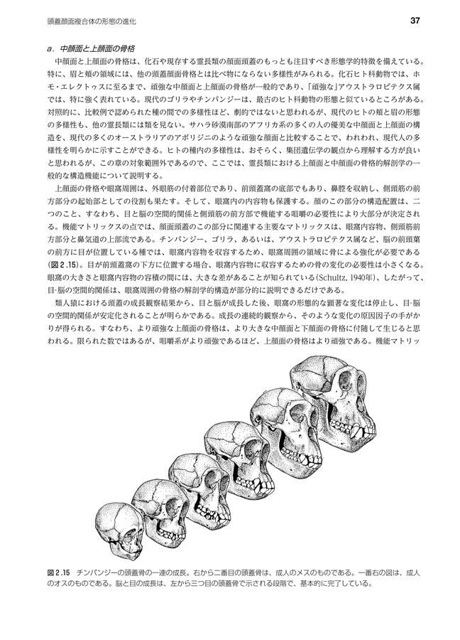 顎顔面成長の基本原理