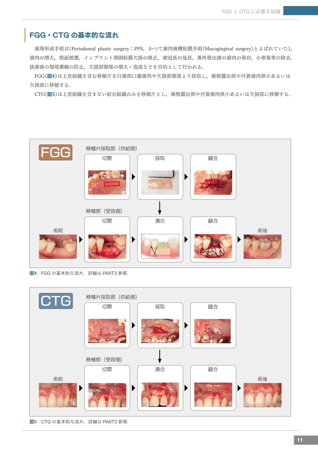 【2024新春福袋】 x2.jpg?c=20240129114210 健康・医学