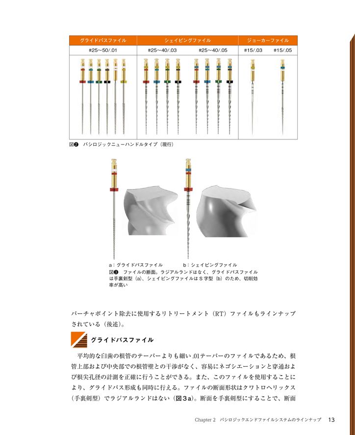バジロジックエンドファイル入門【裁断済み】 バジロジックエンドファイル入門【裁断済み】