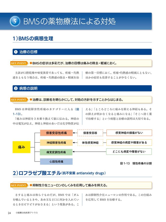 口腔難治性疾患アトラス