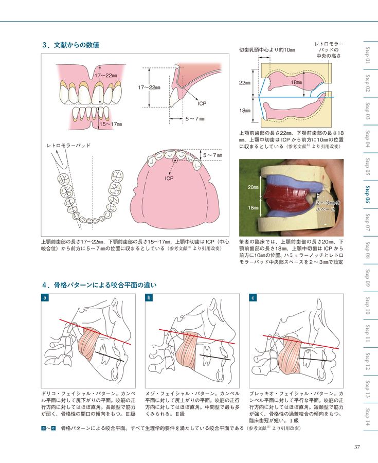 総義歯の病理―基礎と臨床から導き出された総義歯製作法