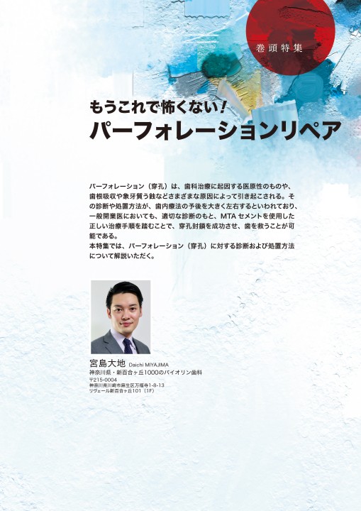 デンタルダイヤモンド　　12冊 歯科総合出版社 デンタルダイヤモンド社