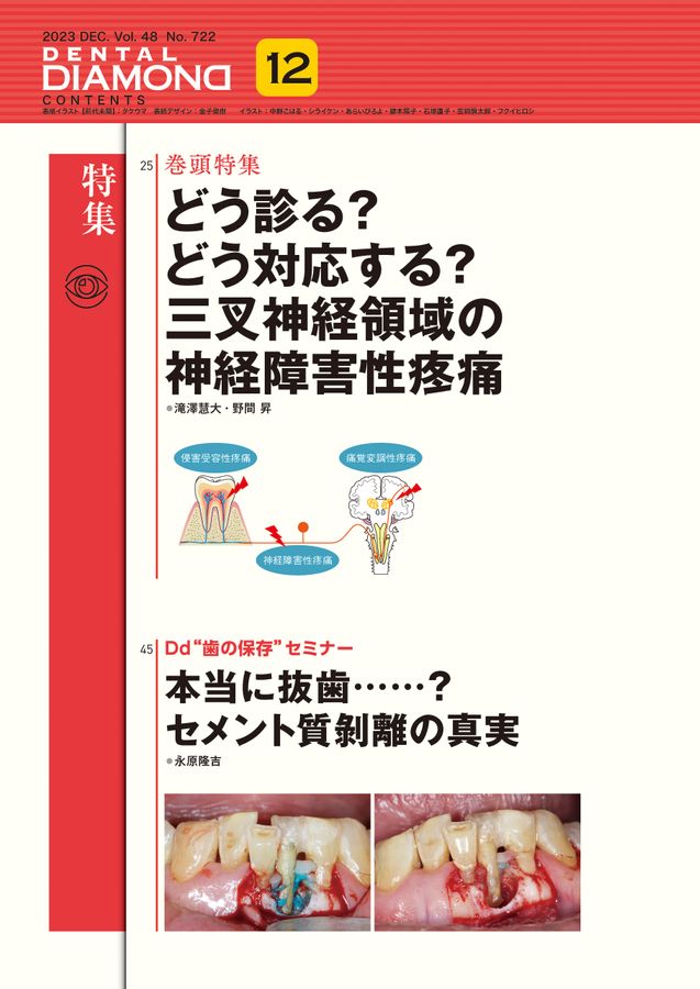 デンタルダイヤモンド　　12冊 デンタルダイヤモンド 2023年12月号